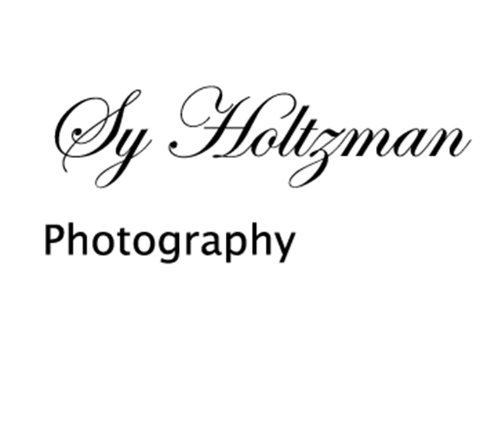 seymourholtzman logo
